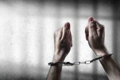 Участника похищения на Товарищеском проспекте отправили в СИЗО до ноября - spb.mk.ru - Санкт-Петербург - р-н Невский