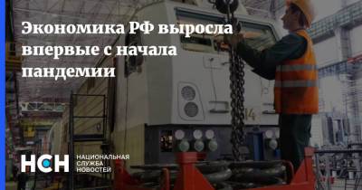 Экономика РФ выросла впервые с начала пандемии - nsn.fm - Россия