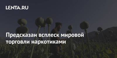 Предсказан всплеск мировой торговли наркотиками - smartmoney.one - Россия - США - New York - Нью-Йорк - Афганистан
