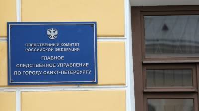 Петербурженку отправили под домашний арест за похищение собственного сына - neva.today - Санкт-Петербург