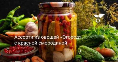 Ассорти из овощей «Огород» с красной смородиной - skuke.net
