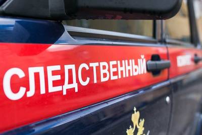 Сожгли заживо: стали известны подробности убийства пожилого репетитора в Москве - vm.ru - Москва