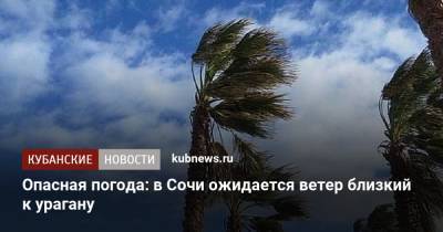 Роман Вильфанд - Опасная погода: в Сочи ожидается ветер близкий к урагану - kubnews.ru - Россия - Крым - Сочи - Краснодарский край