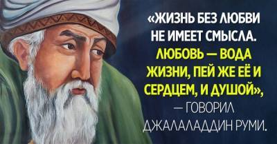 Почему глупый друг хуже, чем умный враг - skuke.net - Таджикистан