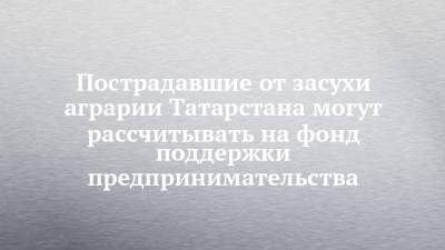 Пострадавшие от засухи аграрии Татарстана могут рассчитывать на фонд поддержки предпринимательства - chelny-izvest.ru - респ. Татарстан