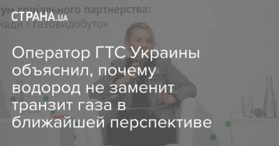 Оператор ГТС Украины объяснил, почему водород не заменит транзит газа в ближайшей перспективе - strana.ua - США - Украина - Германия - Европа