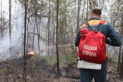 Жители пострадавшего от лесного пожара села в Якутии получили выплаты - mk.ru - респ. Саха