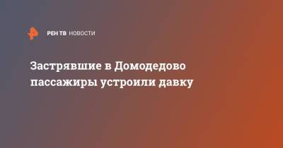 Застрявшие в Домодедово пассажиры устроили давку - ren.tv - Москва
