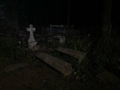 В Ельце на старом кладбище нашли труп девушки - 7info.ru