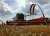 Андрей Сизов - Россия теряет 15% урожая пшеницы - udf.by - Россия - США