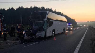 Более 20 человек пострадали в ДТП с автобусом и грузовиком во Владимирской области - vm.ru - Турция - Владимирская обл.