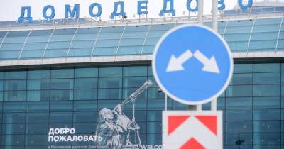 Застрявшие в Домодедово россияне устроили давку в аэропорту - moslenta.ru - Москва