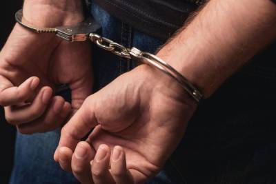 Суд отправил обвиняемого во взятке технолога Ленинградского зоопарка за решетку на трое суток - spb.mk.ru - Санкт-Петербург