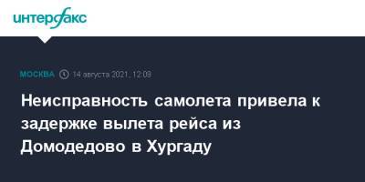 Неисправность самолета привела к задержке вылета рейса из Домодедово в Хургаду - interfax.ru - Москва - Россия - Египет - Домодедово