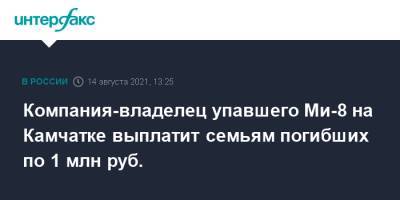 Владимир Солодов - Компания-владелец упавшего Ми-8 на Камчатке выплатит семьям погибших по 1 млн руб. - interfax.ru - Москва