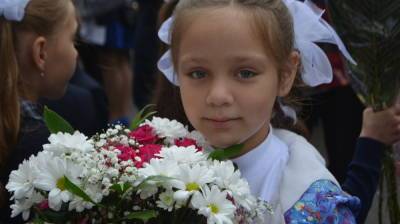 Воронежцам рассказали о правилах проведения школьных линеек 1 сентября - vestivrn.ru - Воронежская обл.