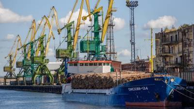 Андрей Бокарев - "Трансмашхолдинг" оценил перенос порта из Петербурга в Усть-Лугу в 110 млрд - dp.ru - Санкт-Петербург