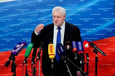 Сергей Миронов - Миронов заявил о необходимости проведения «амнистии перепланировок» в России - lenta.ru - Россия