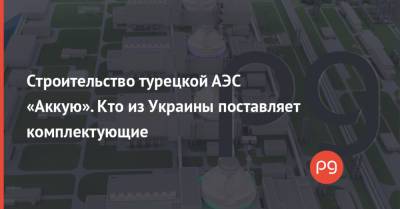 Строительство турецкой АЭС «Аккую». Кто из Украины поставляет комплектующие - thepage.ua - Украина - Турция - Краматорск
