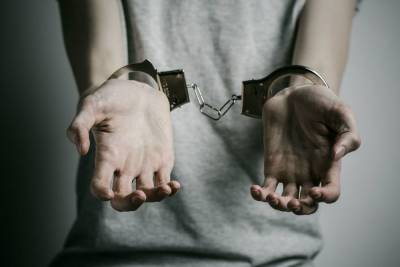 В Петербурге задержали обвиняемого в домогательствах к подростку тренера по тхэквондо - spb.mk.ru - Санкт-Петербург