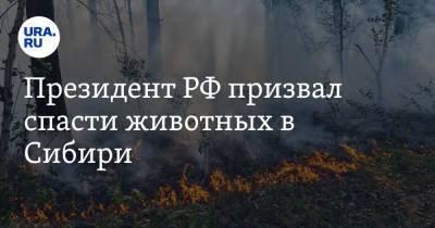 Владимир Путин - Президент РФ призвал спасти животных в Сибири - ura.news - Россия - респ. Саха