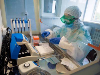 В Башкирии открылась еще одна лаборатория ПЦР-диагностики - bash.news - Башкирия - Сибай - Октябрьск