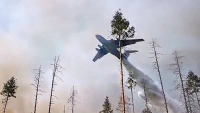 Российские военные погибли при крушении пожарного самолёта в Турции - dp.ru - Москва - Турция - Анкара - Кахраманмараш