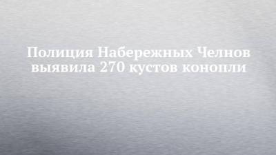Полиция Набережных Челнов выявила 270 кустов конопли - chelny-izvest.ru - Набережные Челны