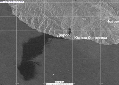 Эколог объяснил, почему данные по разливу нефти в Черном море были занижены в сотни тысяч раз - bloknot.ru - Краснодарский край - Экология