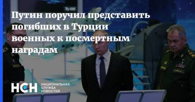 Сергей Шойгу - Владимир Путин - Путин поручил представить погибших в Турции военных к посмертным наградам - nsn.fm - Россия - Турция