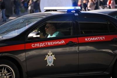 В Москве задержали выбросившую новорожденную в мусорку женщину - lenta.ru - Москва - Россия - Новосибирск