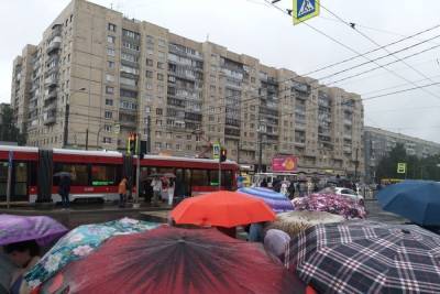 Неделя в Ленобласти начнется с дождей и гроз - spb.mk.ru - Ленинградская обл.