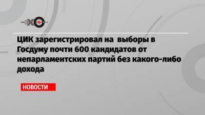 Андрей Нечаев - ЦИК зарегистрировал на выборы в Госдуму почти 600 кандидатов от непарламентских партий без какого-либо дохода - echo.msk.ru