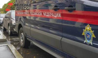 Силовики задержали мать, выбросившую новорожденного младенца в мусорный бак - fedpress.ru - Москва - Россия - Московская обл.