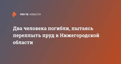 Два человека погибли, пытаясь переплыть пруд в Нижегородской области - ren.tv - Россия - Казахстан - Нижегородская обл.