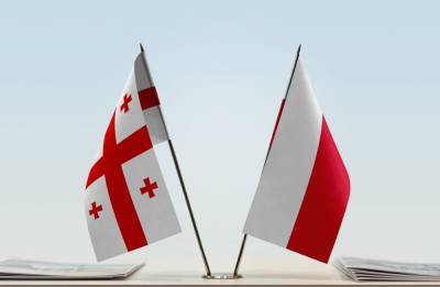Польша назвала объемы внешнеторгового оборота с Грузией - trend.az - Грузия - Польша
