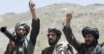 Кольцо сужается. Талибы захватили четвертый по величине город Афганистана (видео) - focus.ua - Украина - New York - Афганистан - Талибан