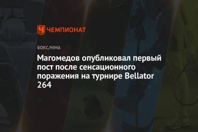 Магомед Магомедов - Магомедов опубликовал первый пост после сенсационного поражения на турнире Bellator 264 - championat.com - Россия - Голландия