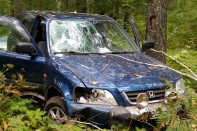 Иномарка сбившего насмерть велосипедиста найдена в лесу под Новосибирском - novos.mk.ru - Новосибирск