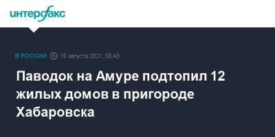 Паводок на Амуре подтопил 12 жилых домов в пригороде Хабаровска - interfax.ru - Москва - Хабаровск
