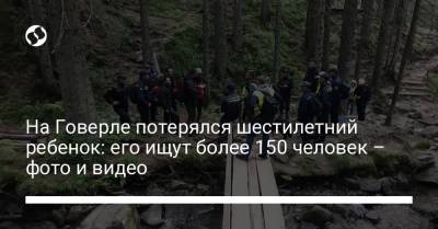 На Говерле потерялся шестилетний ребенок: его ищут более 150 человек – фото и видео - liga.net - Украина