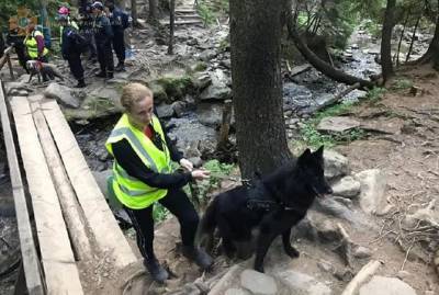 В Карпатах второй день ищут 6-летнего мальчика, заблудившегося в горах - kp.ua - Украина