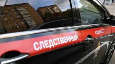 В Петербурге из окна многоэтажки выпала школьница. Спасти ее не удалось - ivbg.ru - Украина - Санкт-Петербург - р-н Фрунзенский - Петербург