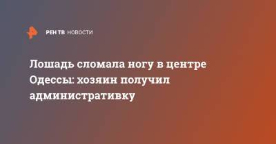 Лошадь сломала ногу в центре Одессы: хозяин получил административку - ren.tv - Украина - Одесса