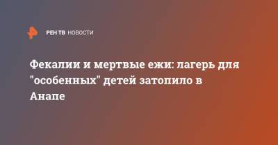 Фекалии и мертвые ежи: лагерь для "особенных" детей затопило в Анапе - ren.tv - Анапа - респ. Коми