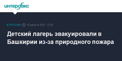 Детский лагерь эвакуировали в Башкирии из-за природного пожара - interfax.ru - Москва - Башкирия