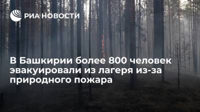 В Башкирии более 800 человек, включая 750 детей, эвакуировали из лагеря из-за природного пожара - ria.ru - Москва - Башкирия
