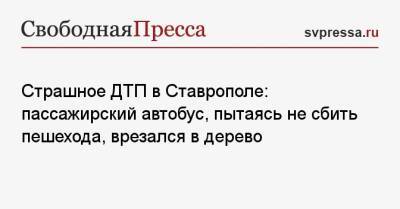 Страшное ДТП в Ставрополе: пассажирский автобус, пытаясь не сбить пешехода, врезался в дерево - svpressa.ru - Ставрополье