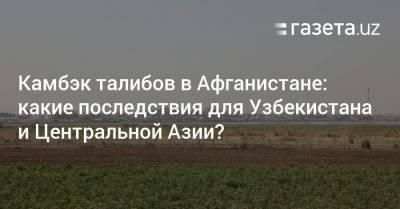 Камбэк талибов в Афганистане: какие последствия для Узбекистана и Центральной Азии? - gazeta.uz - Узбекистан - Афганистан