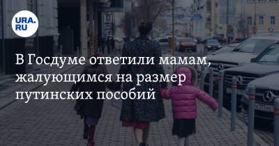Светлана Бессараб - В Госдуме ответили мамам, жалующимся на размер путинских пособий - ura.news